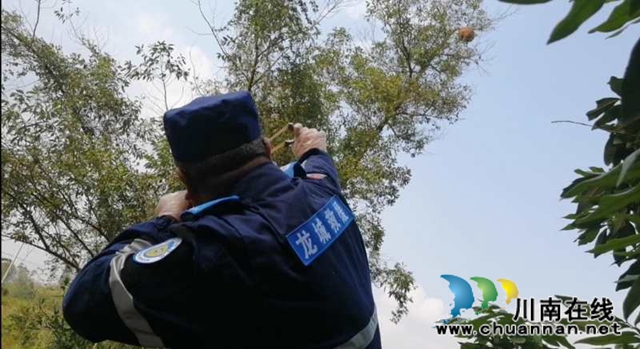 馬蜂威脅群眾安全 瀘縣龍城救援隊(duì)為民排憂(圖4)