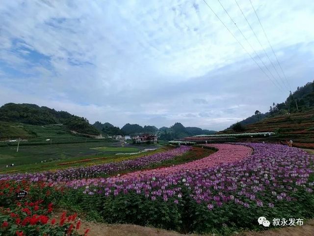 省級新名片！敘永摩尼被命名為“云上古道·康養(yǎng)小鎮(zhèn)”(圖4)