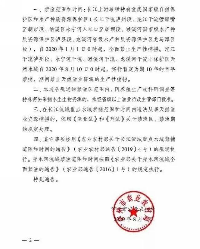 瀘州：一夜電翻近400斤魚，這兩弟兄遭了(圖2)