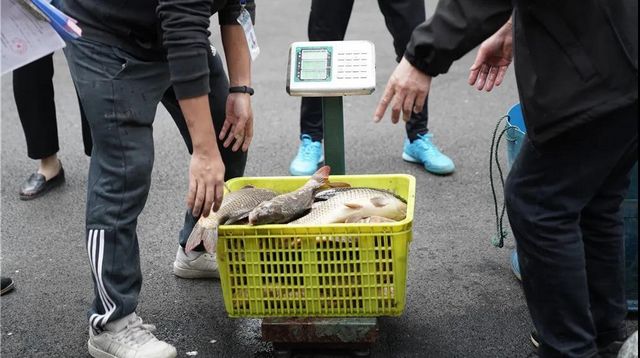 瀘州：一夜電翻近400斤魚，這兩弟兄遭了(圖5)