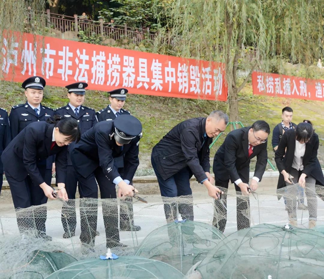 鐵腕禁捕！銷毀非法捕撈器具、增殖放流、普法宣講......瀘州這個活動看點多多！(圖1)