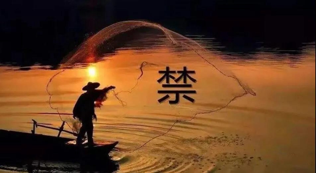 鐵腕禁捕！銷毀非法捕撈器具、增殖放流、普法宣講......瀘州這個活動看點多多！(圖12)