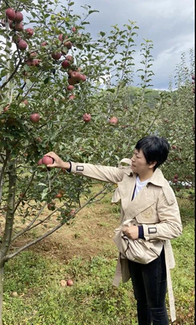 蘋果樹里結(jié)出彝族老鄉(xiāng)對美好生活的新期待！(圖31)