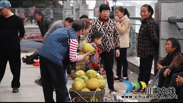 合江：肩條豐挑，長江北岸耕作人將迎出行之變！(圖4)