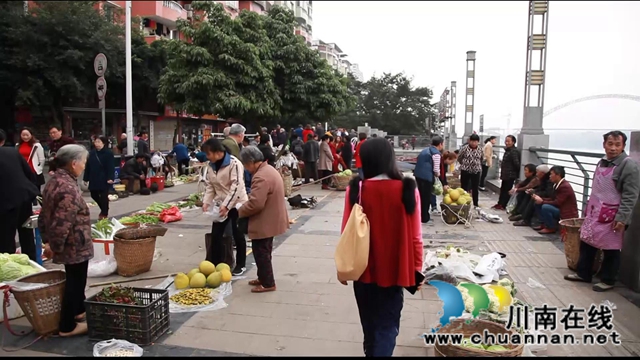 合江：肩條豐挑，長江北岸耕作人將迎出行之變！(圖3)