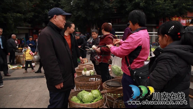 合江：肩條豐挑，長江北岸耕作人將迎出行之變！(圖6)