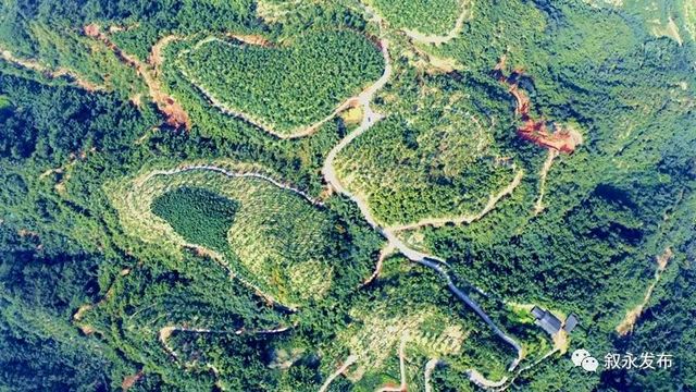 敘永5個丨首批省級竹林人家揭曉，瀘州7個地方上榜(圖1)