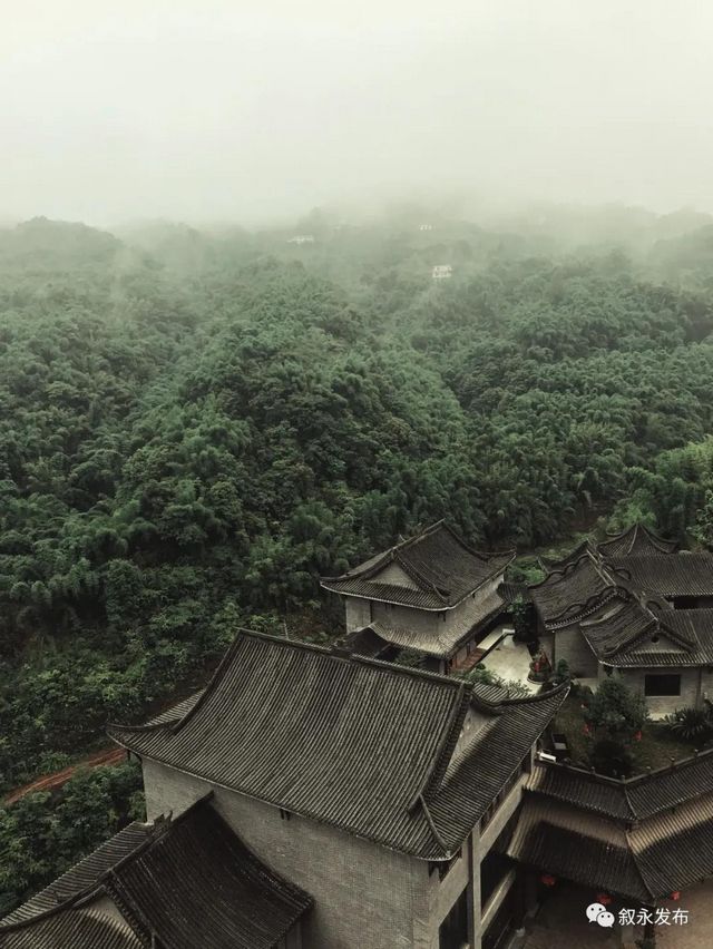 敘永5個丨首批省級竹林人家揭曉，瀘州7個地方上榜(圖6)