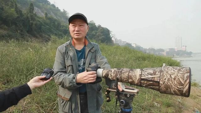 驚呆了！內(nèi)江驚現(xiàn)這么多珍稀鳥類——(圖6)