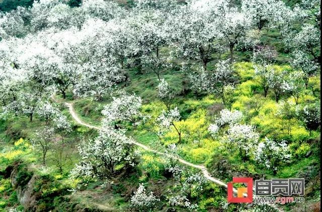 美了美了！自貢首個(gè)“四川特色氣候小鎮(zhèn)”得名“云林”(圖4)