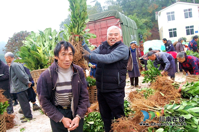納溪“特聘村主任”李文金：退休創(chuàng)業(yè)功成，回鄉(xiāng)扶助鄉(xiāng)親(圖1)