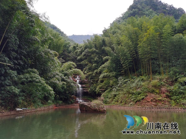 山澗溪流活源頭，桫欏樹下魚兒游！貴州“赤擺擺”高山冷水魚品質看得見(圖4)