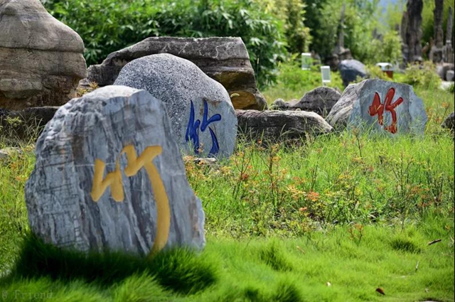 火了！宜賓這些村成新"網(wǎng)紅"！民宿、游道…最近的只要20分鐘！(圖25)