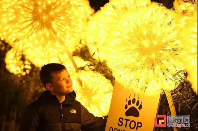 自貢彩燈又走出國門！猜猜這次點亮了哪里？(圖1)