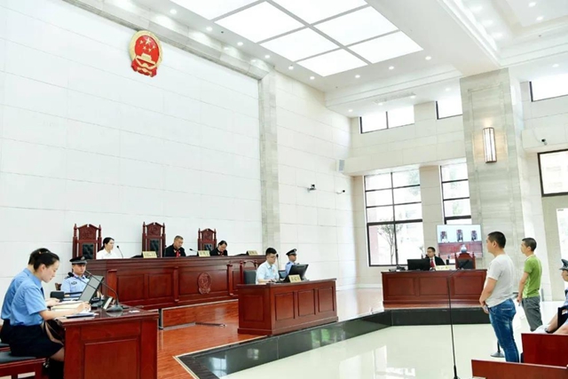 龍馬潭區(qū)法院自貿(mào)區(qū)法庭，全國先進！(圖9)