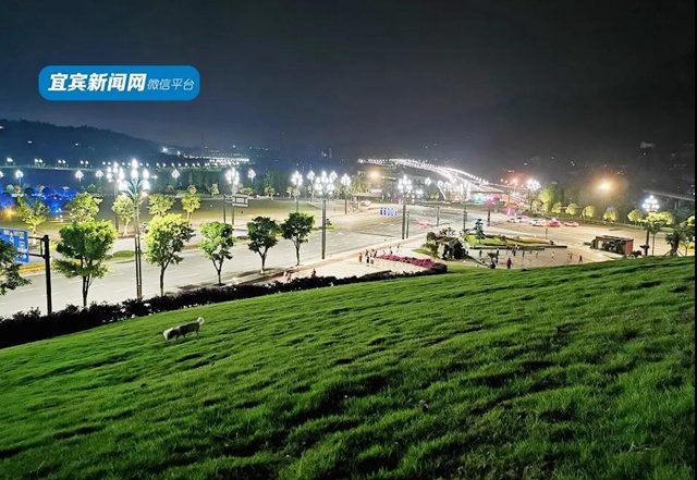 正式亮相！宜賓主城區(qū)又一新地標(biāo)來了！唐式樓閣，古色古香！(圖5)