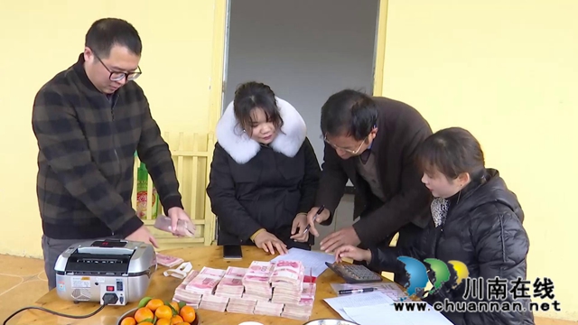 合江黃金灣村：1700多頭生豬出欄，社員分紅50多萬元(圖1)