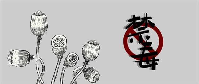 震懾！內(nèi)江市中院公布五起涉毒大案(圖5)