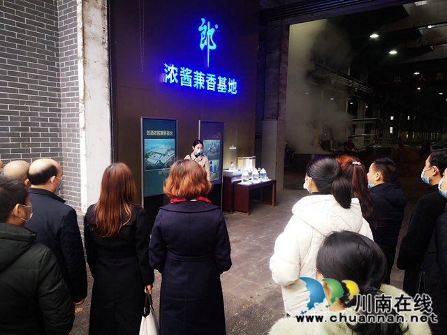 龍馬潭區(qū)蓮花池街道開(kāi)展“兩代表一委員”視察工作(圖4)