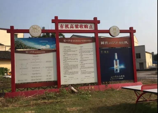 善始善終，一起走向美好生活！(圖7)