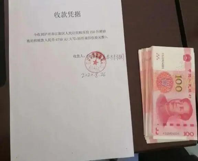 善始善終，一起走向美好生活！(圖76)