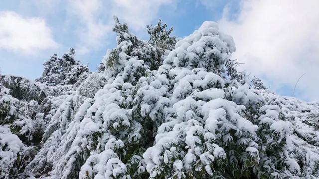 冰雪奇緣！快來(lái)古藺捕捉陽(yáng)光下的雪封仙境！(圖17)