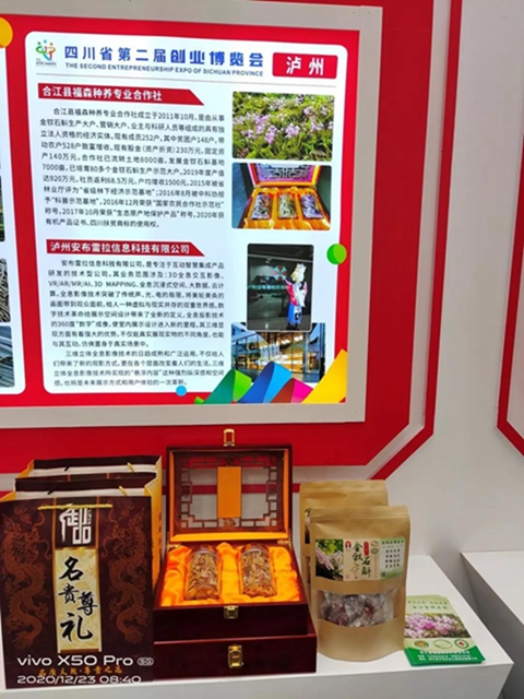 瀘州這些項目亮相省創(chuàng)博會！(圖5)