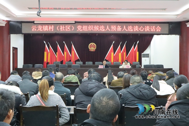 瀘縣云龍鎮(zhèn)召開村（社區(qū)）候選人預備人選談心談話會(圖1)