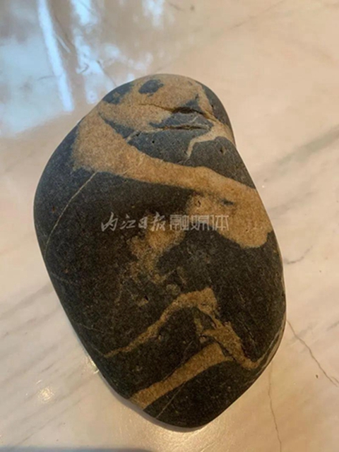 小伙伴們驚呆了！內(nèi)江市民在沱江邊撿到一只“熊貓”(圖1)