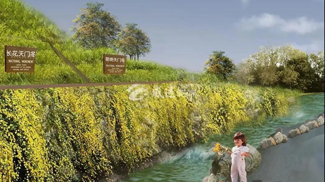 住房車，賞百草！新晉內(nèi)江網(wǎng)紅地“藥王谷”來了！(圖3)
