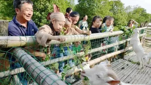 住房車，賞百草！新晉內(nèi)江網(wǎng)紅地“藥王谷”來了！(圖4)