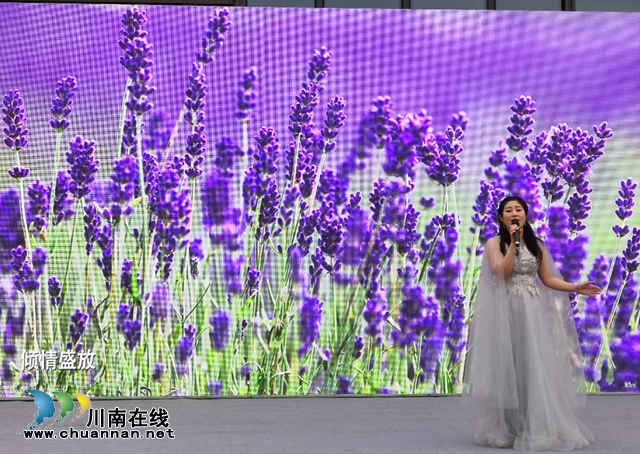 “這有光”杯“唱響龍馬潭”原創(chuàng)歌曲大賽落幕，觀眾希望多搞這樣的活動(dòng)?。ǜ将@獎(jiǎng)名單）(圖9)
