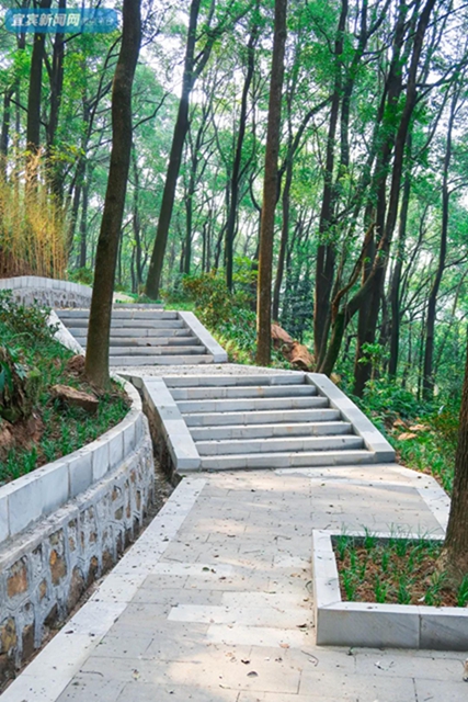 震撼！宜賓翠屏山又一網(wǎng)紅打卡地來了！巨大環(huán)形建筑、絕美棧道、360°觀景臺(tái)……(圖28)