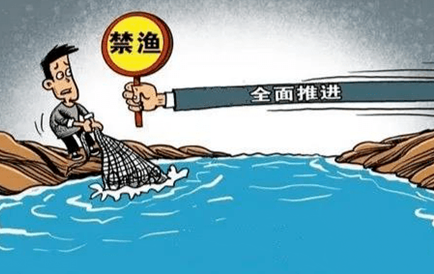 瀘州全面開展退捕漁民養(yǎng)老保險補貼工作，標(biāo)準(zhǔn)：人均15年，每年不低于2500元(圖1)