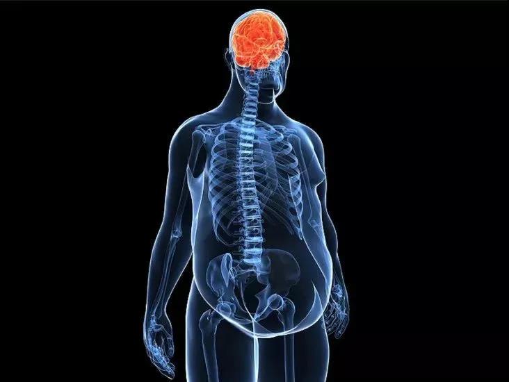 豬為何不得糖尿病？降糖藥物可以抑制新冠病毒？快來看看那些我們不知道的奧秘(圖10)