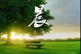 豬為何不得糖尿??？降糖藥物可以抑制新冠病毒？快來看看那些我們不知道的奧秘(圖11)