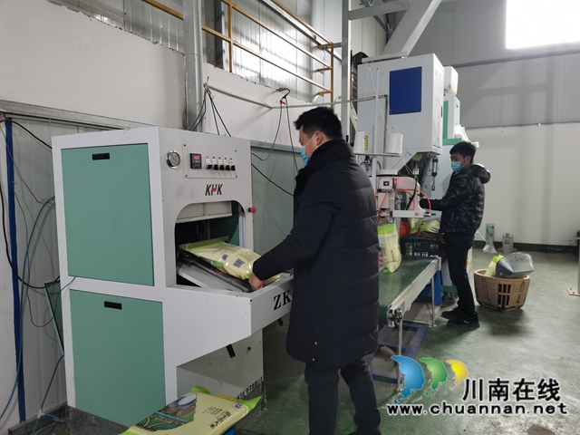 省勞動(dòng)模范薛世蘭：多產(chǎn)融合、稻菜輪作實(shí)現(xiàn)糧增產(chǎn)錢增收(圖2)