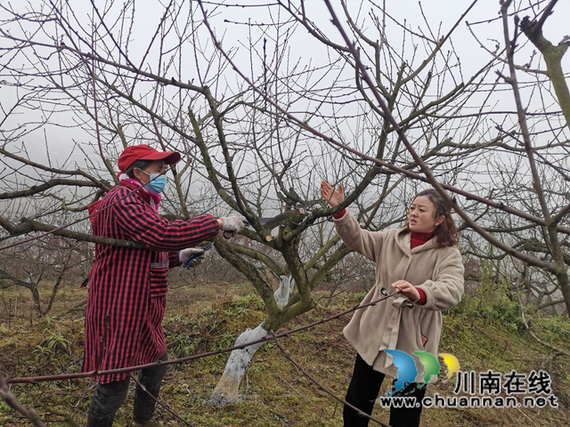 省勞動(dòng)模范薛世蘭：多產(chǎn)融合、稻菜輪作實(shí)現(xiàn)糧增產(chǎn)錢增收(圖3)