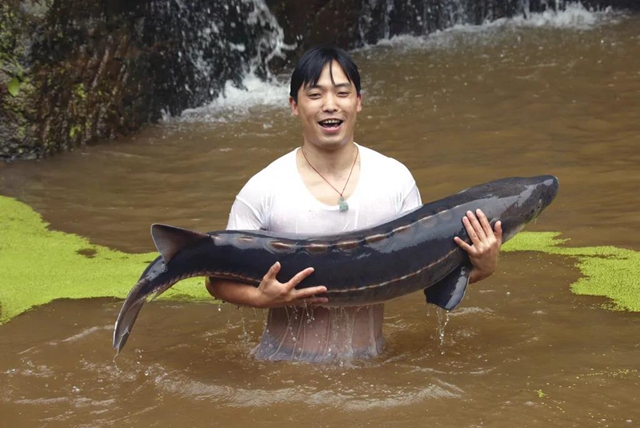 保護長江珍稀特有魚類，宜賓這對父子“癡“情專注28年！(圖6)