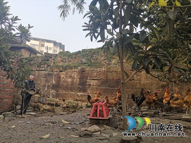 羅旭：以臂做手，發(fā)展養(yǎng)殖，成為全省脫貧勵志榜樣(圖3)