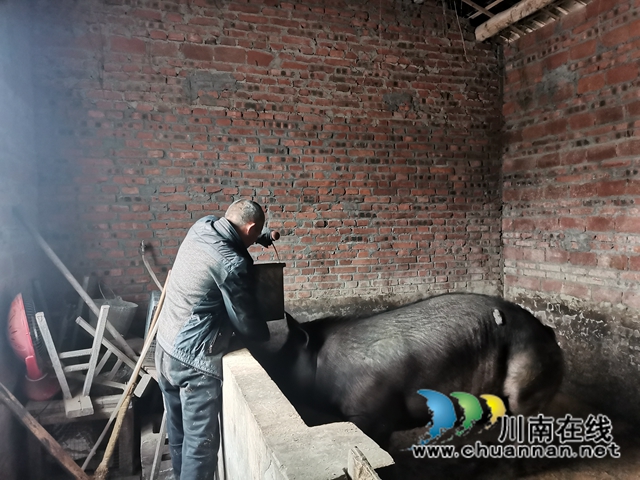 羅旭：以臂做手，發(fā)展養(yǎng)殖，成為全省脫貧勵志榜樣(圖4)