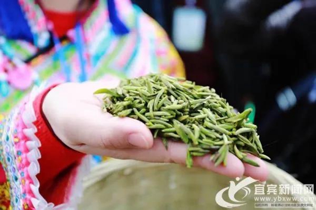 新增小伙伴，“天府龍芽”宜賓再添五成員！