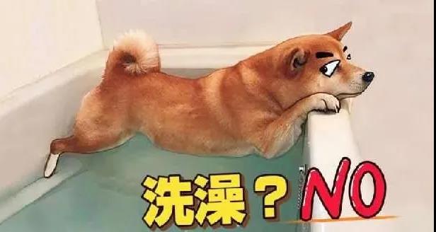 過(guò)年啦，千萬(wàn)不要這樣喝酒！(圖13)