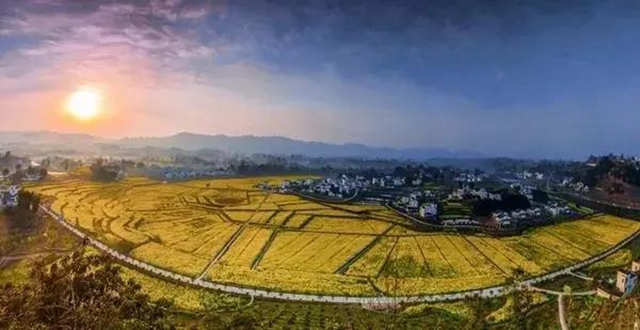 瀘州這些賞花地，可以約會(huì)春天(圖2)