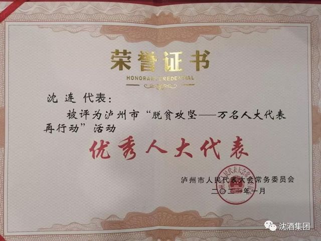 聚焦兩會丨瀘州市政協(xié)委員沈連積極建言獻策，成績斐然榮獲雙獎(圖2)
