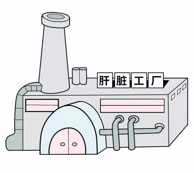 【關(guān)注】吳孟達患肝癌去世！這些信號要警惕？(圖10)