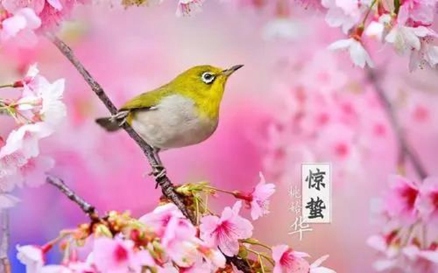 【警惕】今天開始，養(yǎng)生要注意預防這五類疾??！