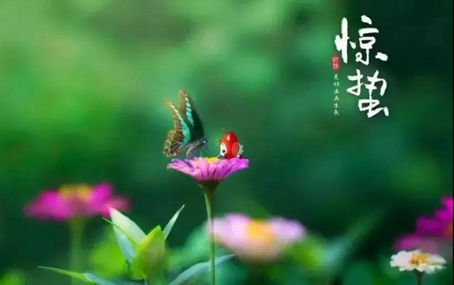 【警惕】今天開(kāi)始，養(yǎng)生要注意預(yù)防這五類(lèi)疾??！(圖3)