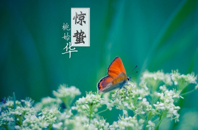 【警惕】今天開(kāi)始，養(yǎng)生要注意預(yù)防這五類(lèi)疾??！(圖4)