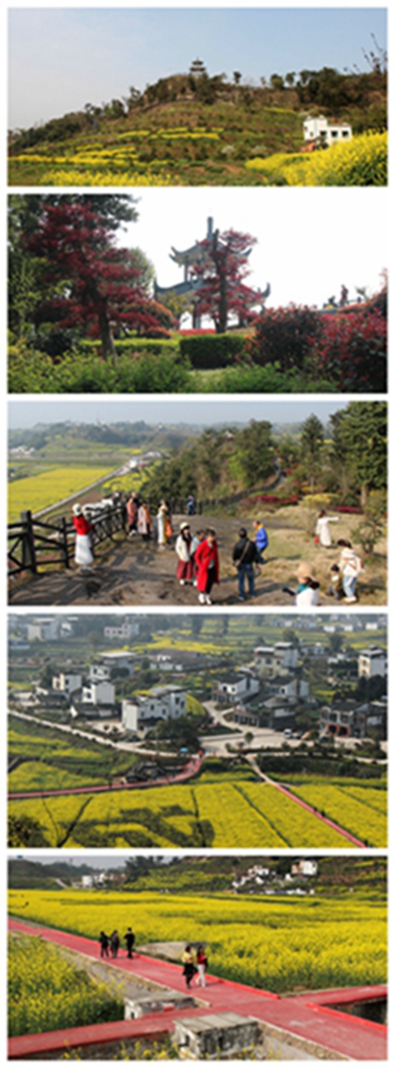 瀘縣喻寺醉美鄉(xiāng)村旅游，來美麗譚壩村享受春天的芬芳！(圖4)